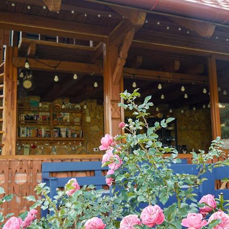 Valea TirneiRose Hip Hill Farm住宿加早餐旅馆 外观 照片