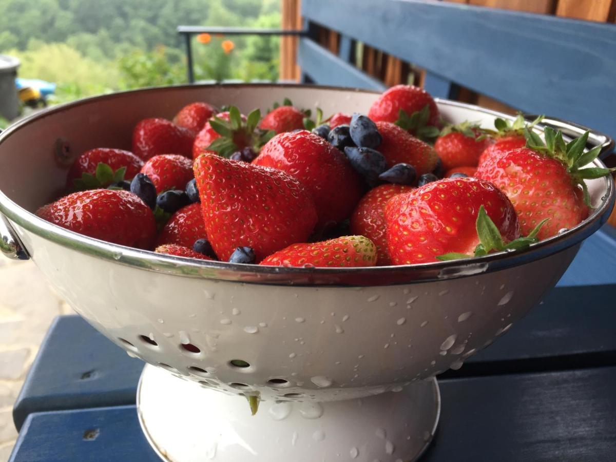 Valea TirneiRose Hip Hill Farm住宿加早餐旅馆 外观 照片