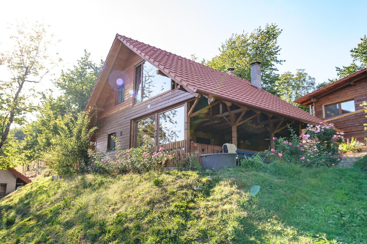 Valea TirneiRose Hip Hill Farm住宿加早餐旅馆 外观 照片