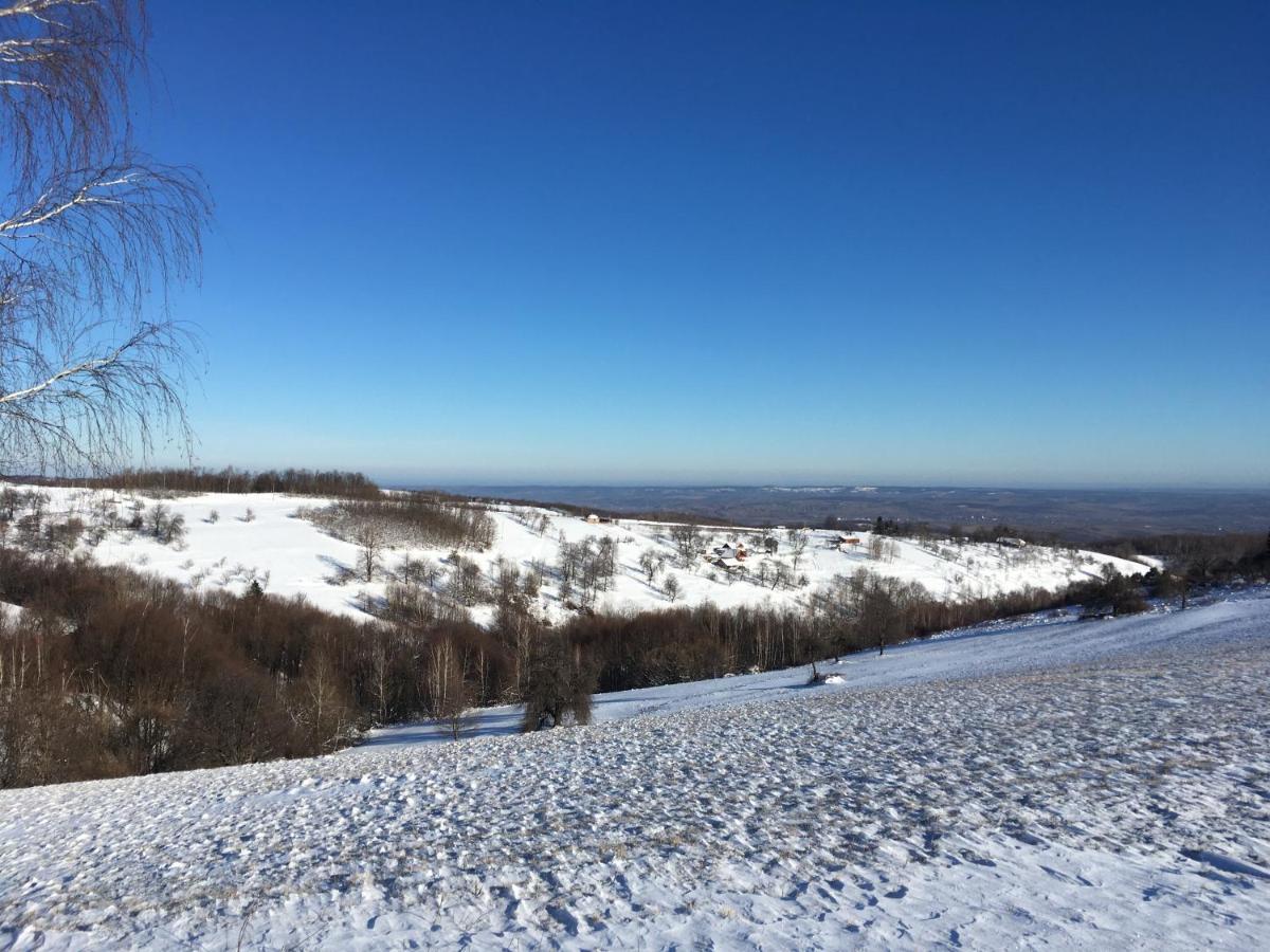 Valea TirneiRose Hip Hill Farm住宿加早餐旅馆 外观 照片