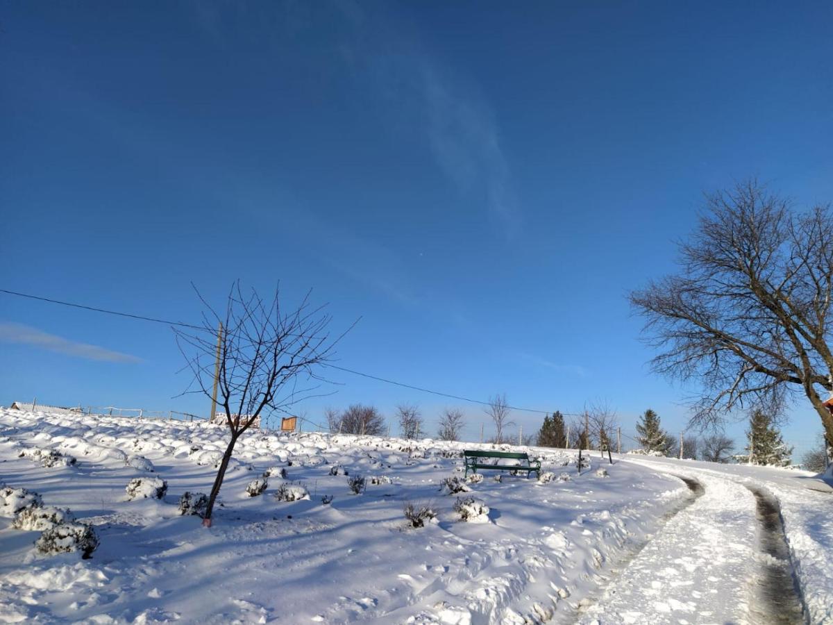 Valea TirneiRose Hip Hill Farm住宿加早餐旅馆 外观 照片
