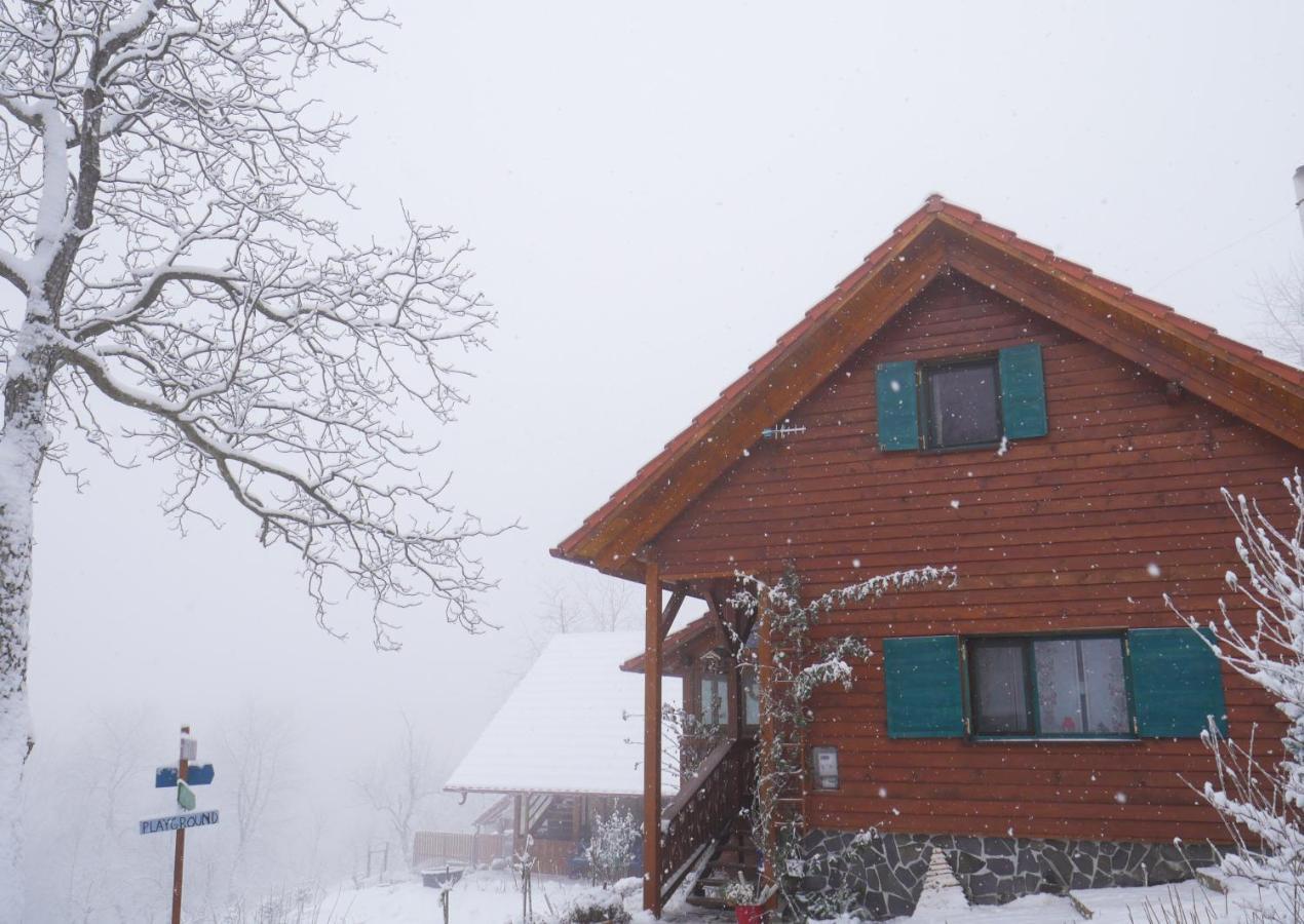 Valea TirneiRose Hip Hill Farm住宿加早餐旅馆 外观 照片