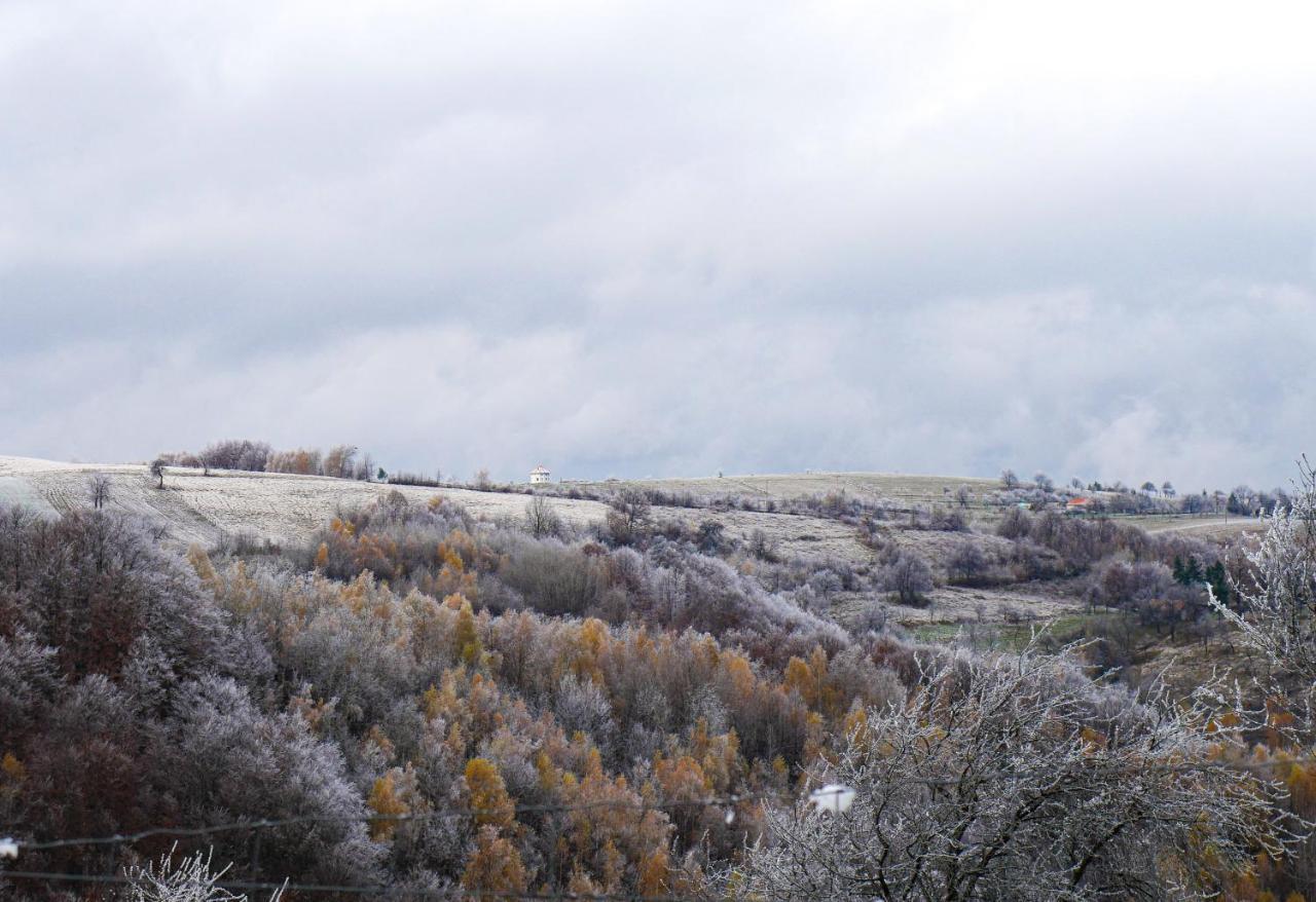 Valea TirneiRose Hip Hill Farm住宿加早餐旅馆 外观 照片