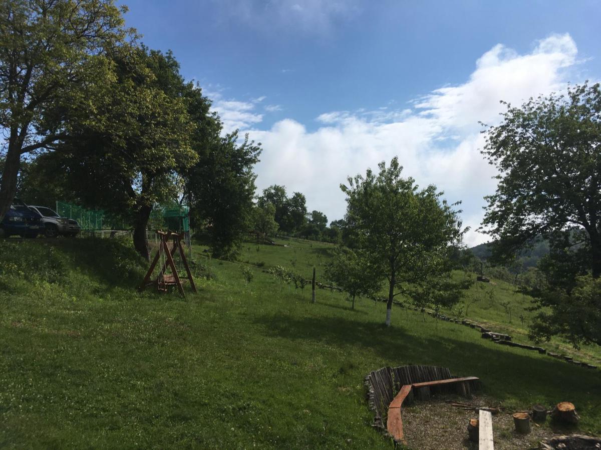 Valea TirneiRose Hip Hill Farm住宿加早餐旅馆 外观 照片