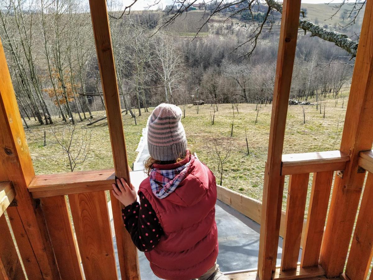 Valea TirneiRose Hip Hill Farm住宿加早餐旅馆 外观 照片