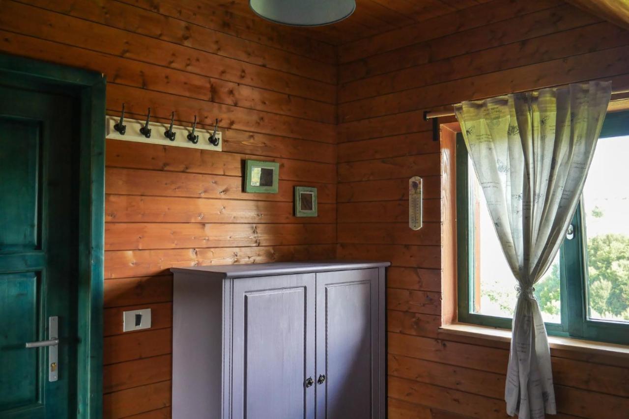 Valea TirneiRose Hip Hill Farm住宿加早餐旅馆 外观 照片
