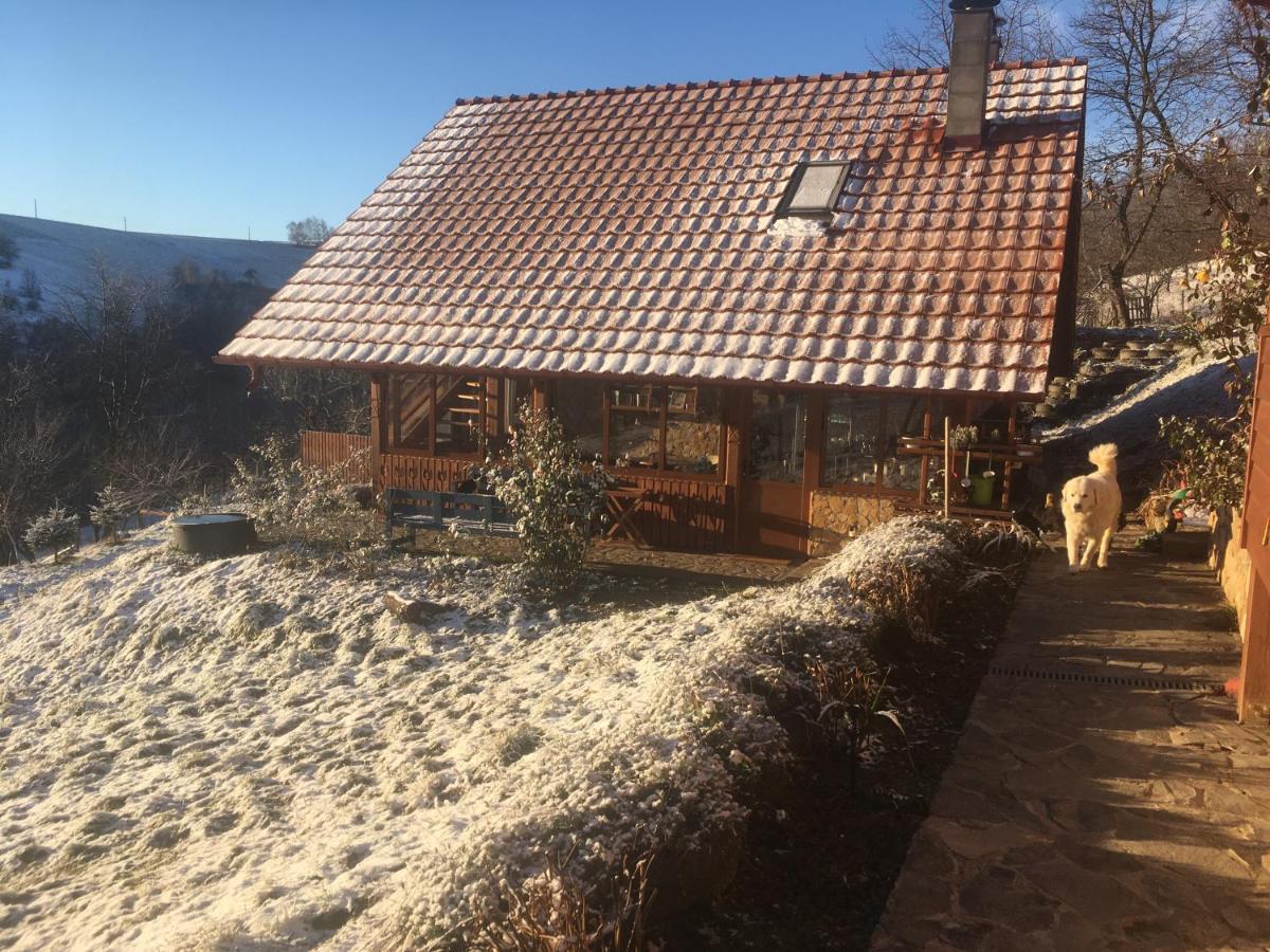 Valea TirneiRose Hip Hill Farm住宿加早餐旅馆 外观 照片
