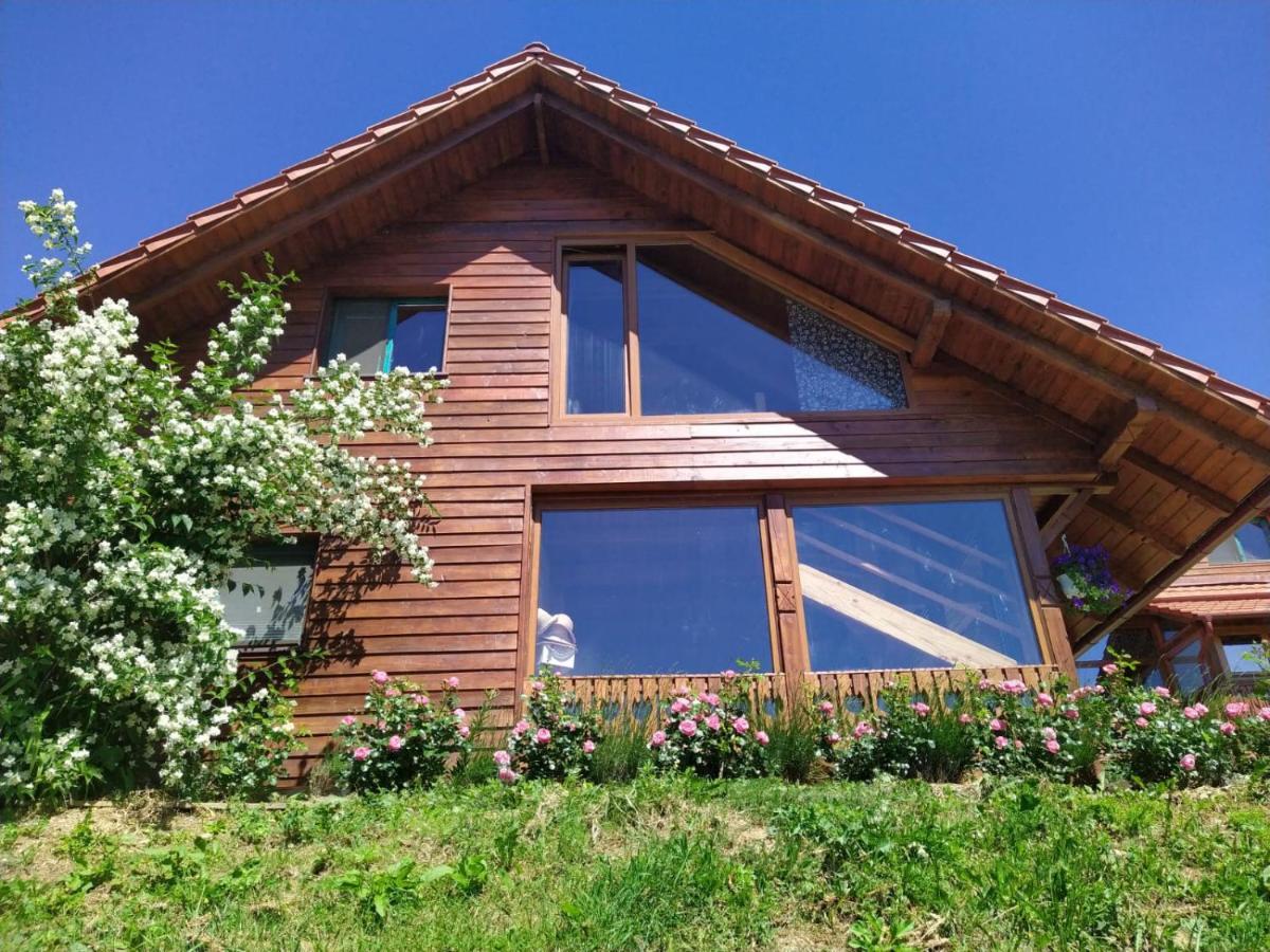 Valea TirneiRose Hip Hill Farm住宿加早餐旅馆 外观 照片