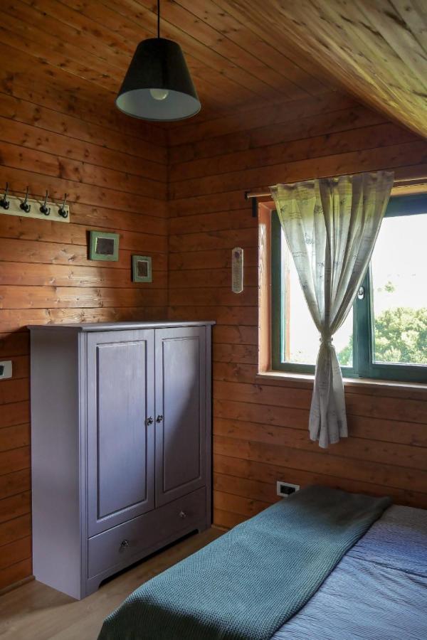 Valea TirneiRose Hip Hill Farm住宿加早餐旅馆 外观 照片